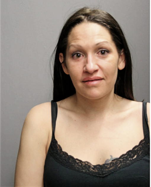 BETH M NORTON, Cook County, Illinois