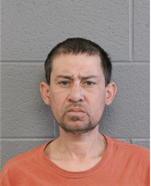 CESAR NUNES, Cook County, Illinois