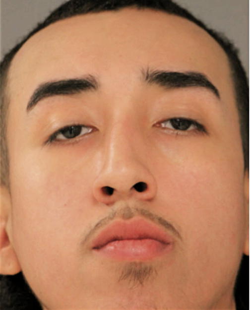 REYES PADILLA, Cook County, Illinois