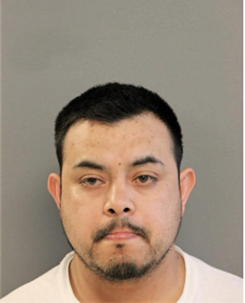 ISRAEL SALAYES-DORANTES, Cook County, Illinois