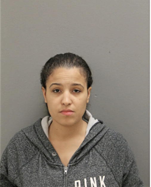 CASEY L ADAMS, Cook County, Illinois