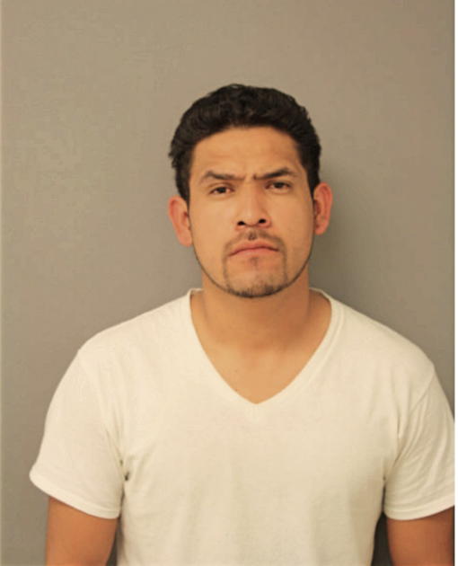 OMAR ANDERSON, Cook County, Illinois