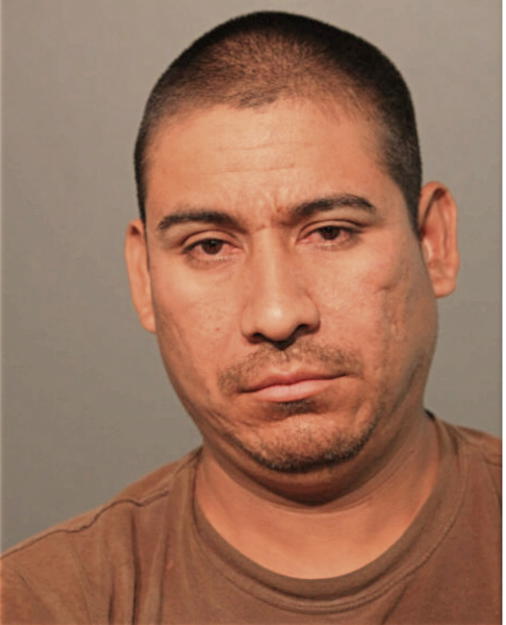 PEDRO ANIMAS-ZACAPEXPAN, Cook County, Illinois