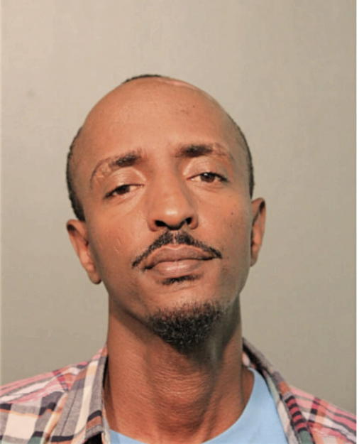 MAEKEL H BERHANE, Cook County, Illinois