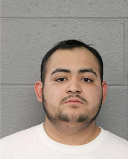EDWIN O CASTRELLON, Cook County, Illinois