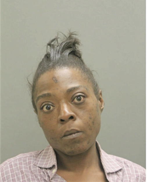 NISHEA Q DAWSON, Cook County, Illinois