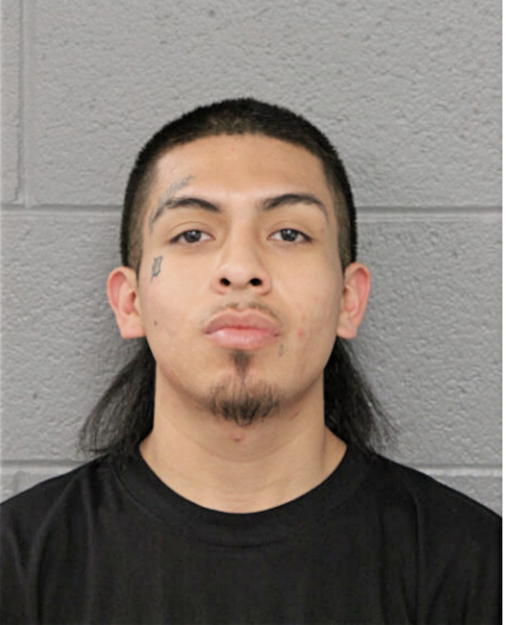 ERWIGN DELGADO, Cook County, Illinois