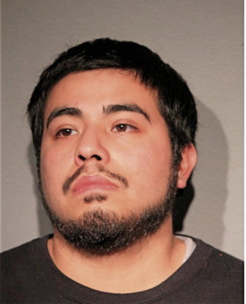 CARLOS M ESTRADA, Cook County, Illinois