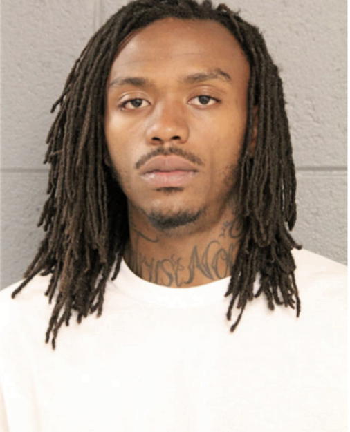 TERRENCE T HAMMOND, Cook County, Illinois
