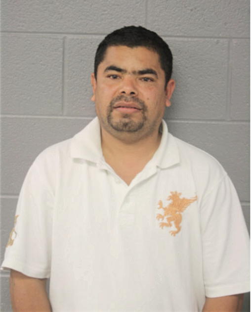 NOE JUAREZ, Cook County, Illinois