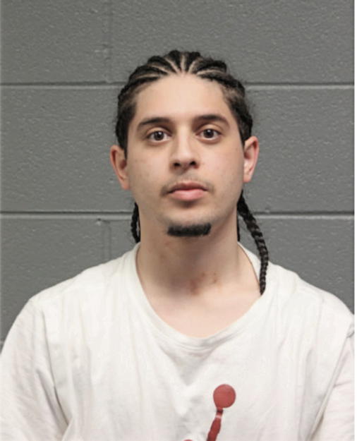 AMALIO LEON, Cook County, Illinois