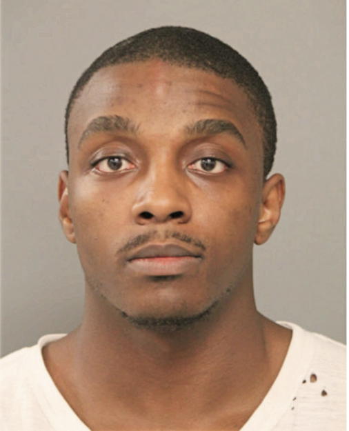 AUSTIN D MCALLISTER, Cook County, Illinois