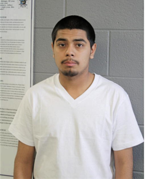 RENE MENDOZA, Cook County, Illinois