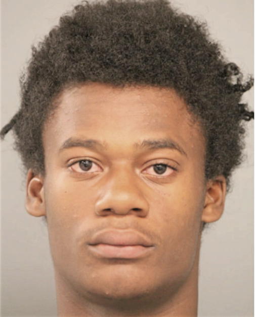 MICHAEL L MILLER, Cook County, Illinois