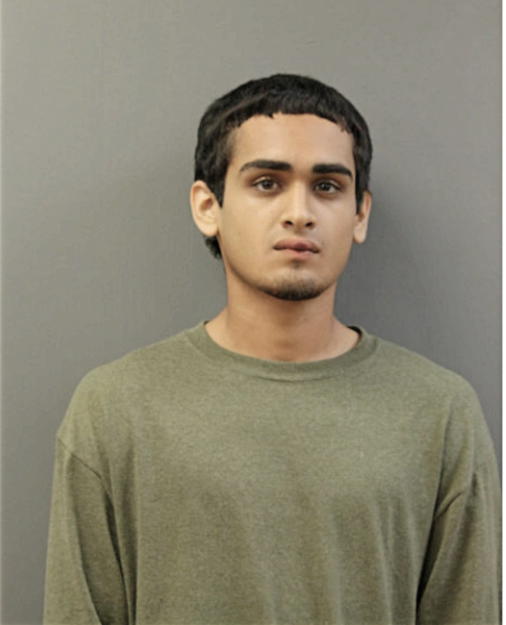 ANDRES MIRELES, Cook County, Illinois