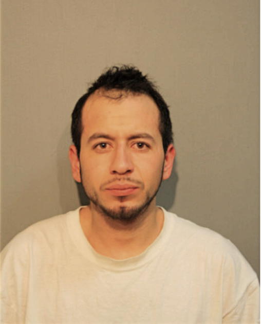JUAN P MUNOZ-MUNIZ, Cook County, Illinois