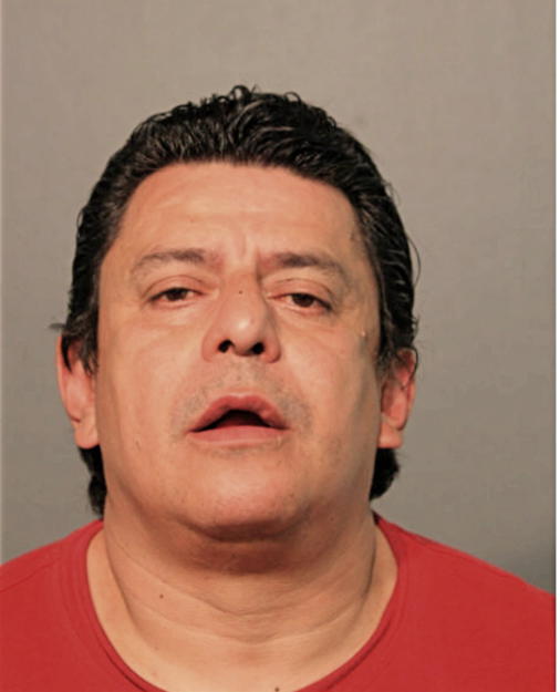 HECTOR A NEGRON, Cook County, Illinois