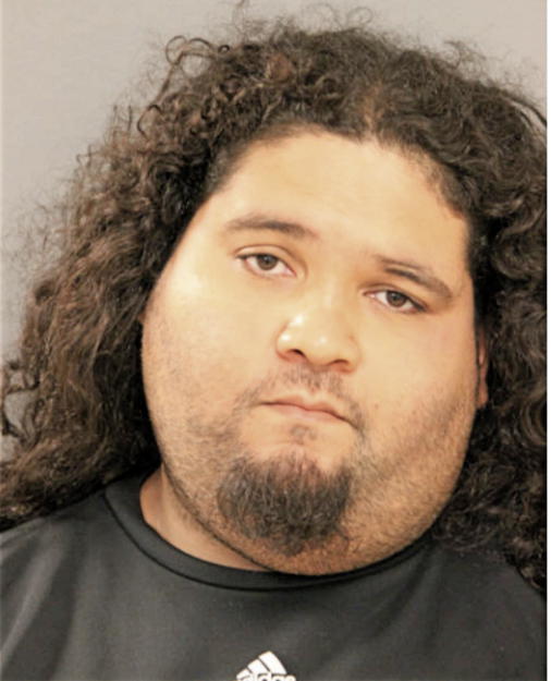 LUIS A NIEVES, Cook County, Illinois