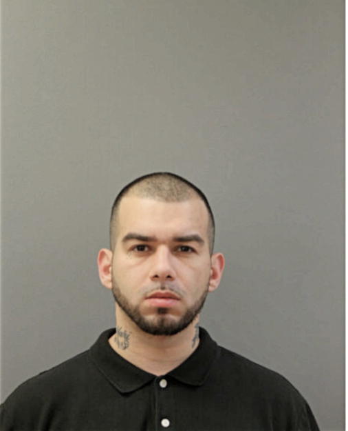 NANE JUNIOR PETROV, Cook County, Illinois