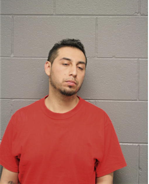 SAUL PINA, Cook County, Illinois