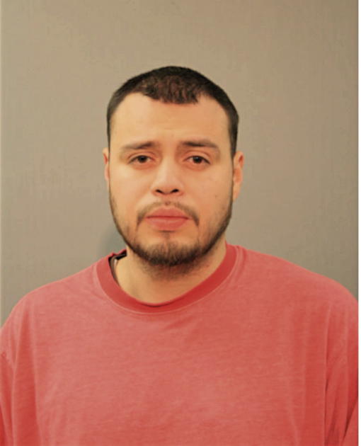 JAIME G PONCE, Cook County, Illinois