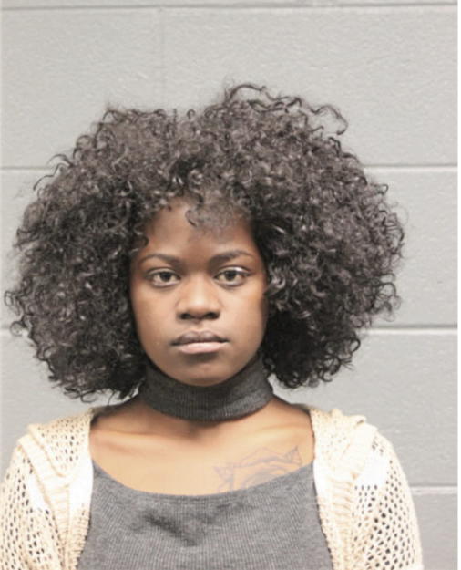HAJA B SESAY, Cook County, Illinois