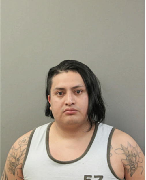 SECUNDO FERNANDO SUCONOTA, Cook County, Illinois