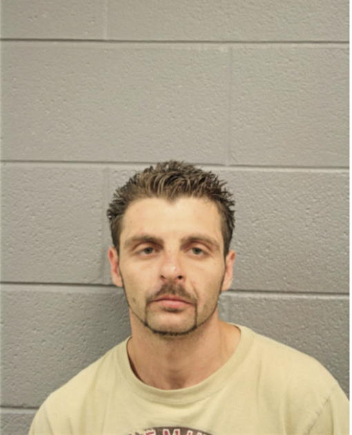RADU TANASE, Cook County, Illinois