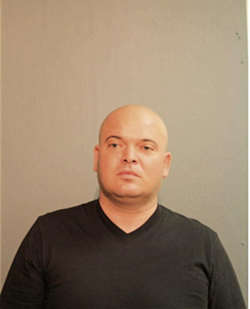ARKADIUSZ W TRZNADEL, Cook County, Illinois