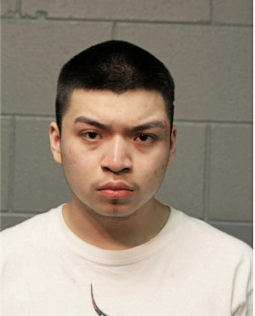 FERNANDO VARGAS, Cook County, Illinois