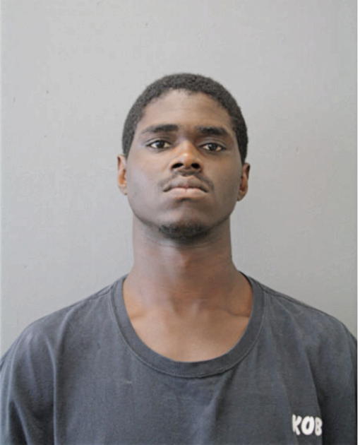 VICTOR L WATSON, Cook County, Illinois