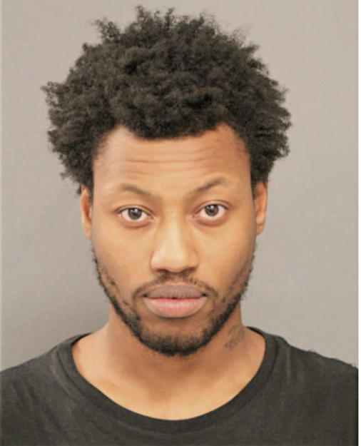 DEZHMOND L YOUNG, Cook County, Illinois