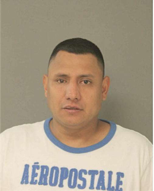 ALEJANDRO MALVAIZ GARCIA, Cook County, Illinois