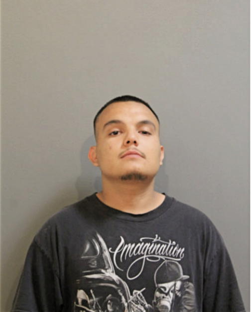 ANDREW J GARCIA, Cook County, Illinois