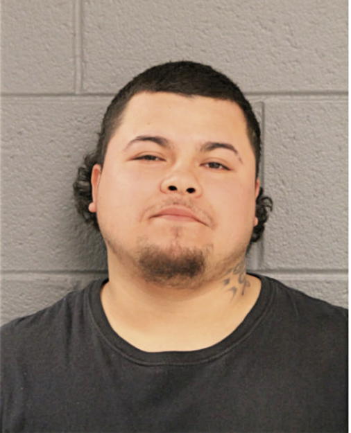 HECTOR HUGO GONZALEZ, Cook County, Illinois