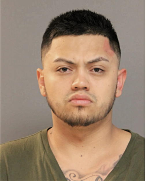 DAVID ALEJANDRO HERNANDEZ, Cook County, Illinois