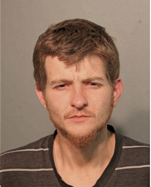 TRISTAN D HOLLOWAY, Cook County, Illinois