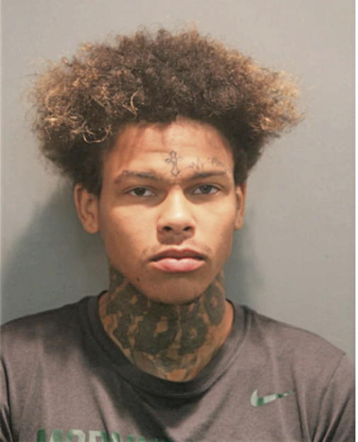 CAMRON J KING, Cook County, Illinois