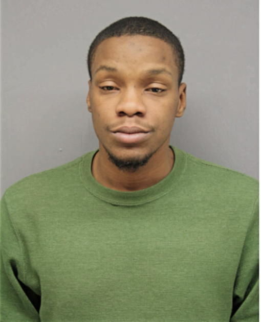 RAMON T LEE, Cook County, Illinois