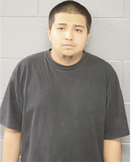 OMAR LUGO, Cook County, Illinois