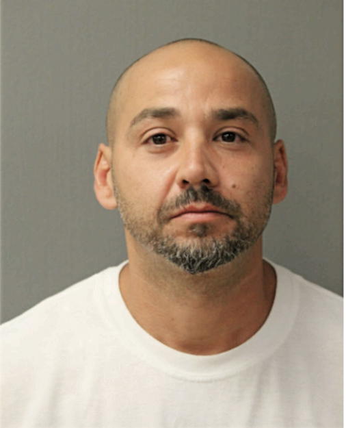 ANGEL L MALDONADO, Cook County, Illinois