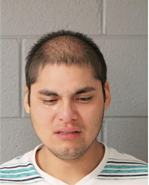 ALEJANDRO MARTINEZ, Cook County, Illinois
