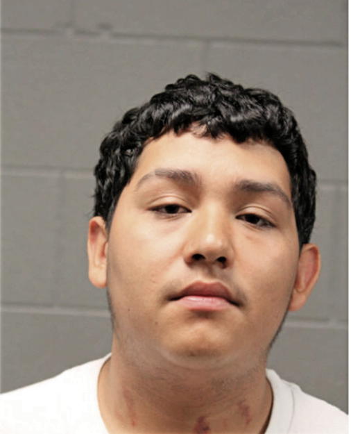 LUIS MARTINEZ, Cook County, Illinois