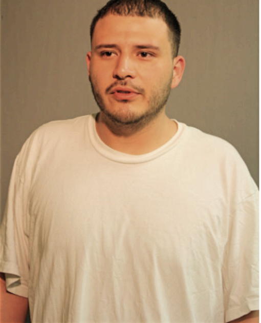ALEXANDER MENDOZA, Cook County, Illinois