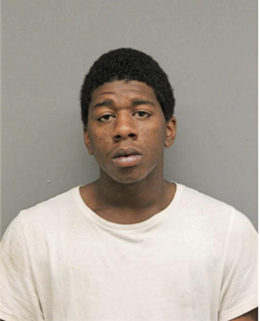 KENNETH W MERRITT, Cook County, Illinois