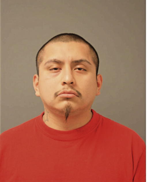 ALEJANDRO OCAMPO, Cook County, Illinois