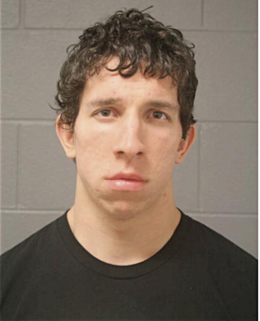 KURT R REGGANIE, Cook County, Illinois