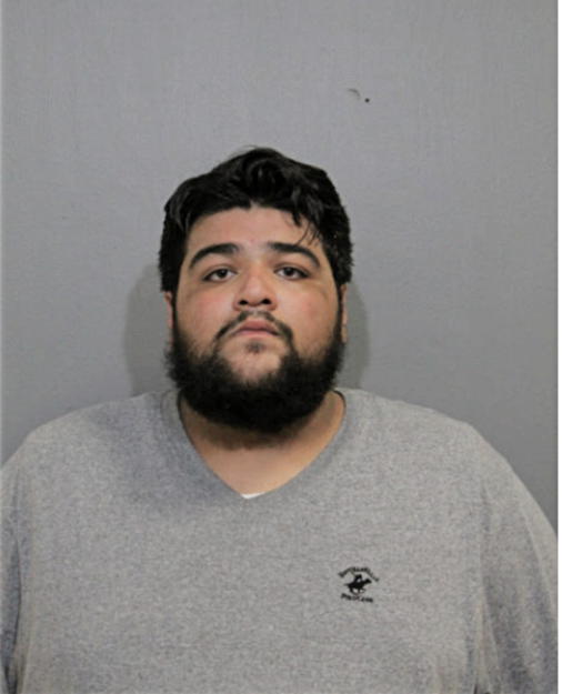 DAVID J REYES, Cook County, Illinois