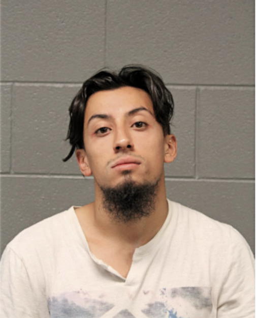 NICHOLAS A VASQUEZ, Cook County, Illinois