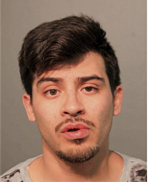 HECTOR ZUNIGA, Cook County, Illinois